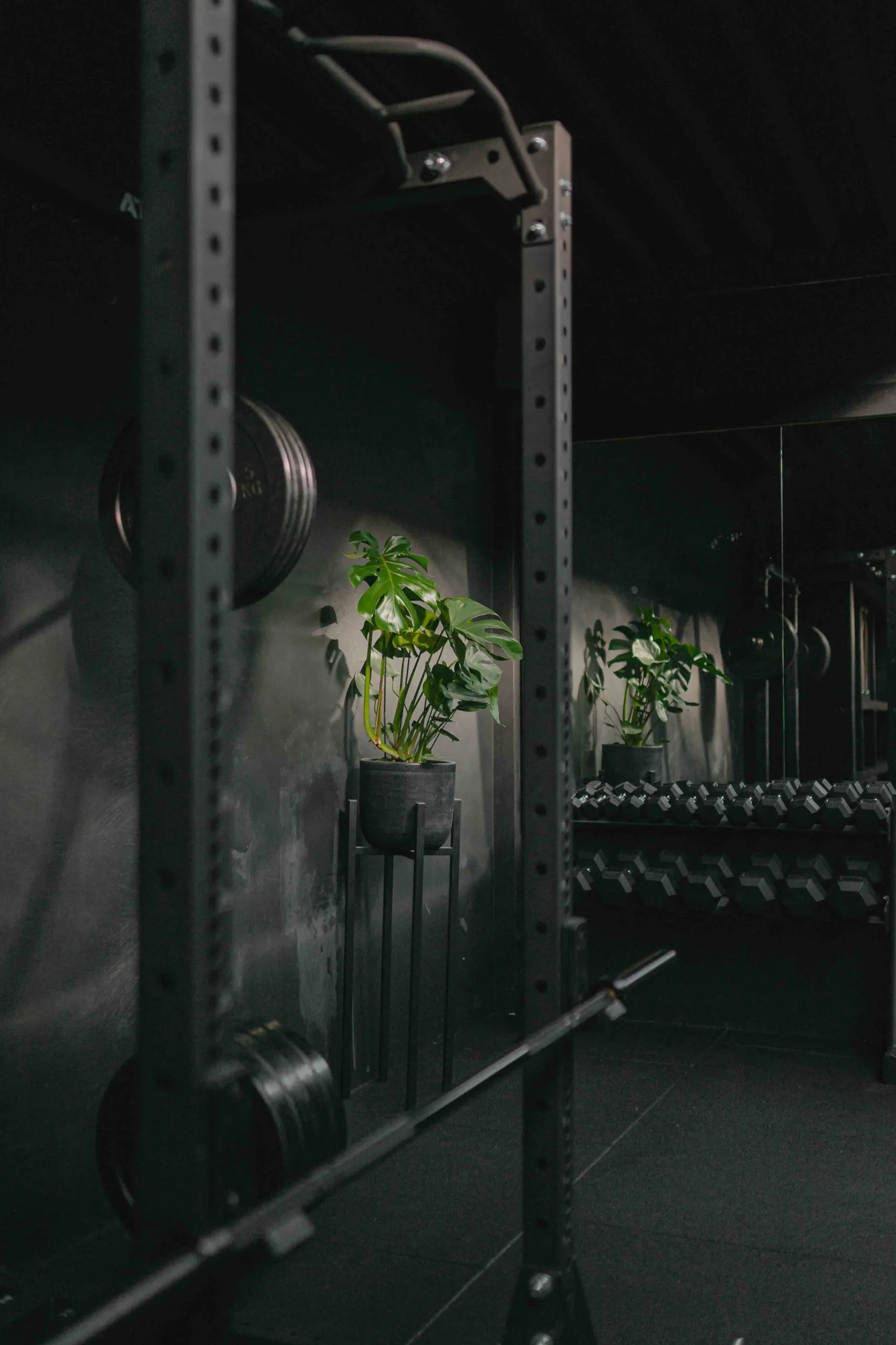De private gym van Stronger Things