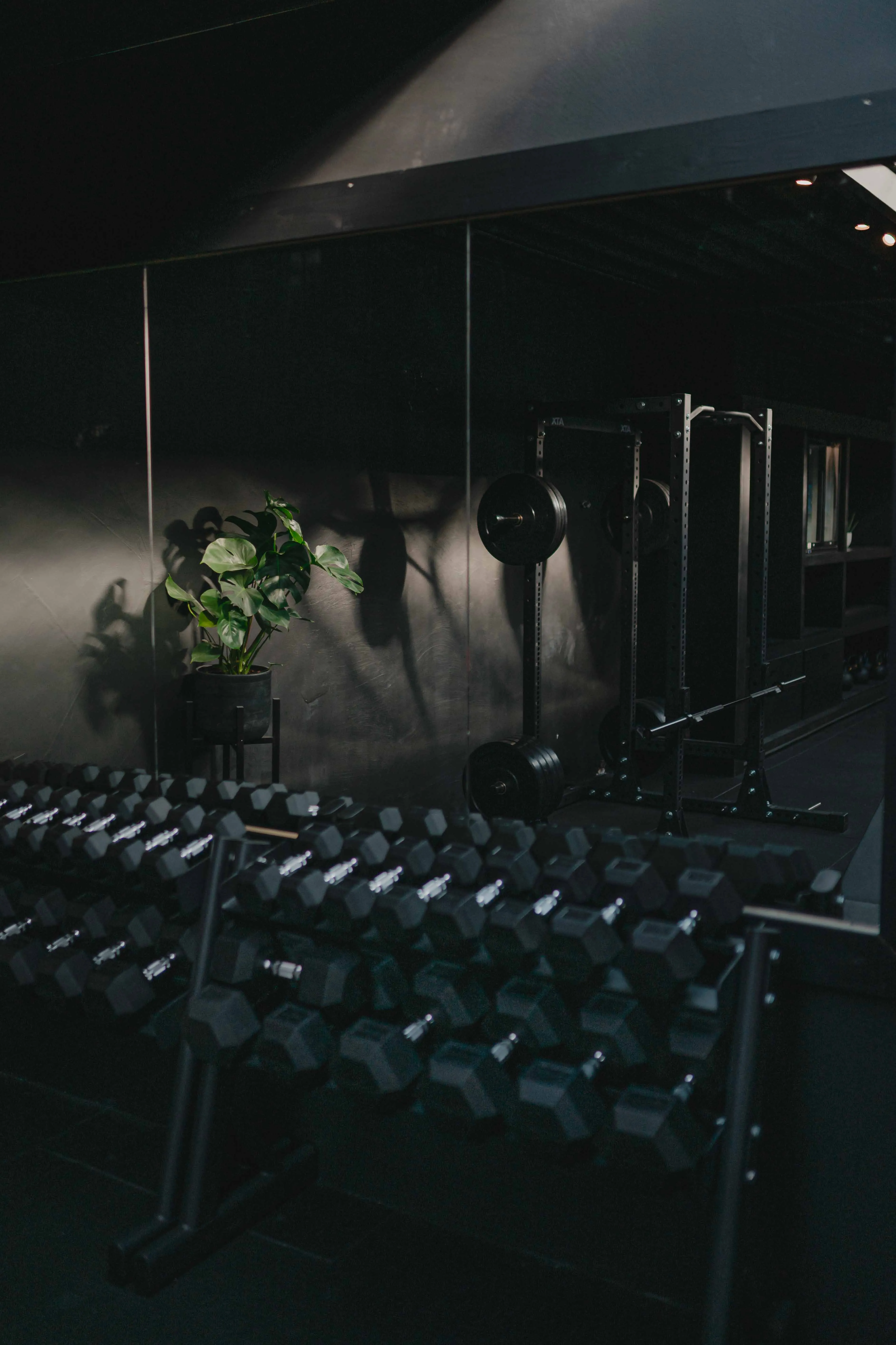 Dumbbellrek bij de plantenwand